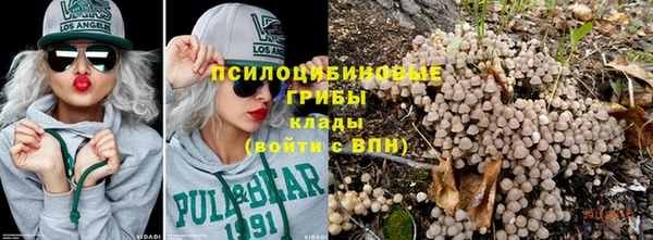 сатива Алексеевка