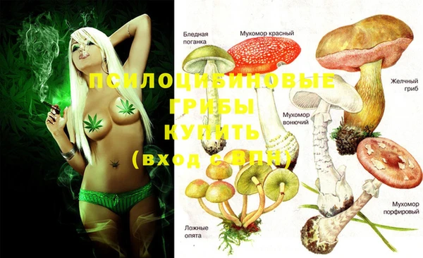 дмт Абаза