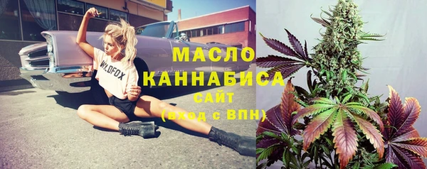 дмт Алексин