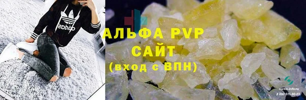 дмт Абаза