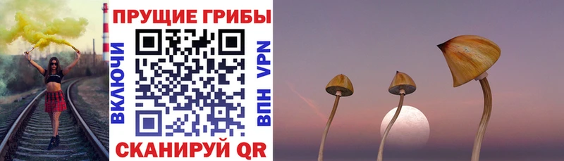 Псилоцибиновые грибы мицелий где купить наркотик Углегорск