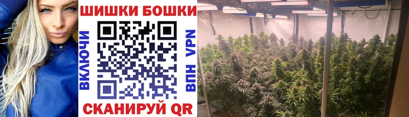 сколько стоит  Углегорск  Бошки марихуана Ganja 